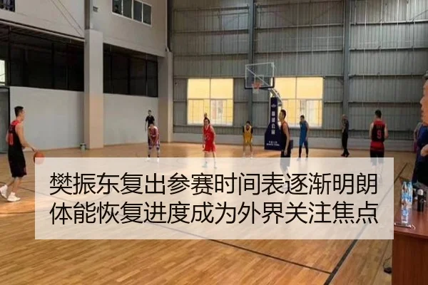 樊振东复出参赛时间表逐渐明朗 体能恢复进度成为外界关注焦点